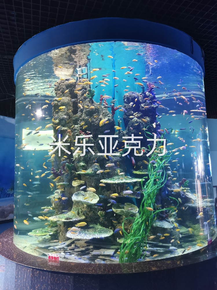 <b>大型亞克力魚缸造景必知小常識(shí)</b>